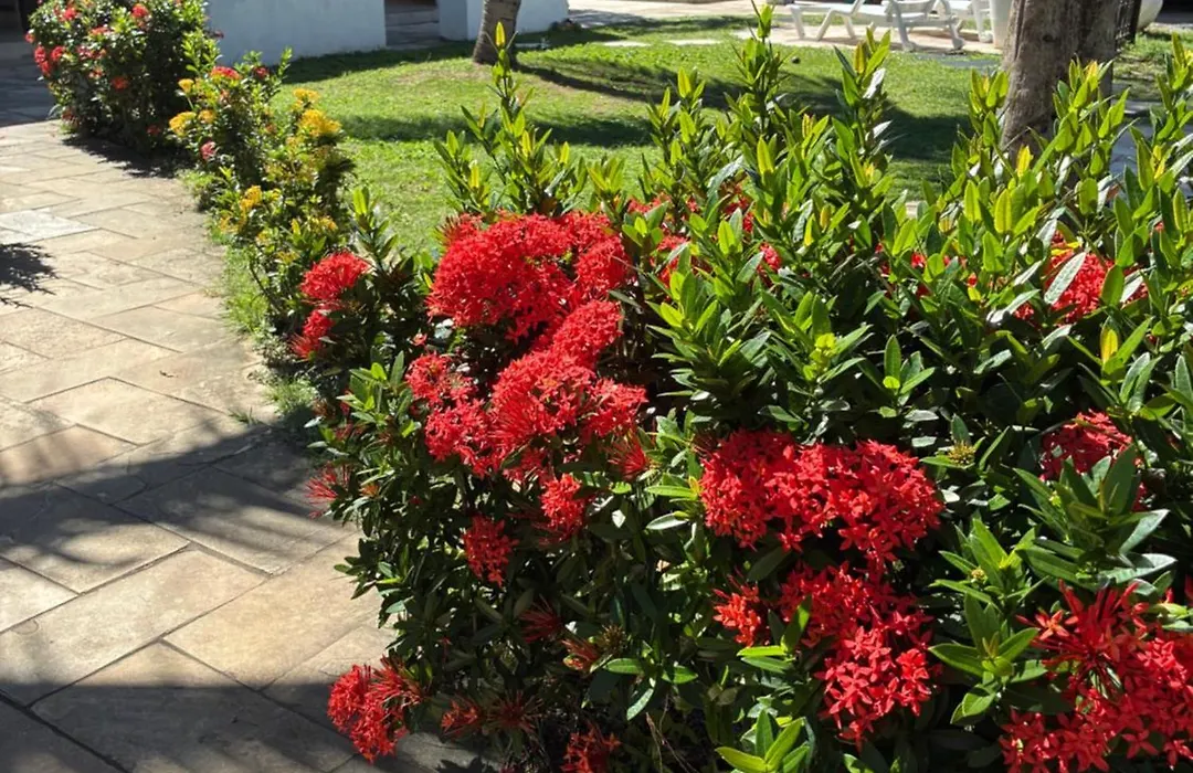 Pousada Sapê-1